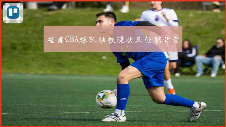 福建CBA球队助教现状及任职背景
